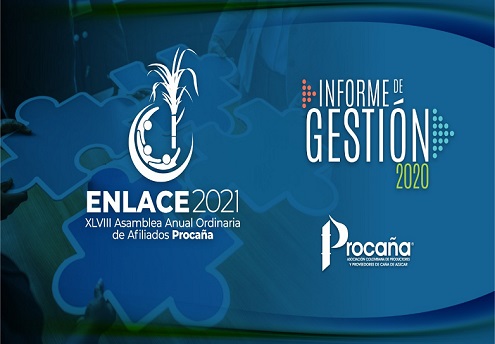 Informe de Gestión y Estados Financieros de Procaña 2020