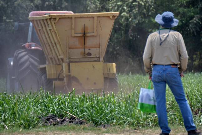 La tecnología al servicio de la productividad de la caña: Experiencias de Cañicultores