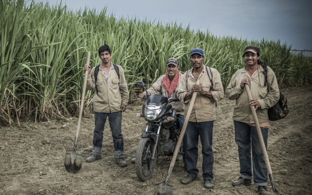 Impacto de la Reforma Tributaria al sector agropecuario con énfasis en la caña