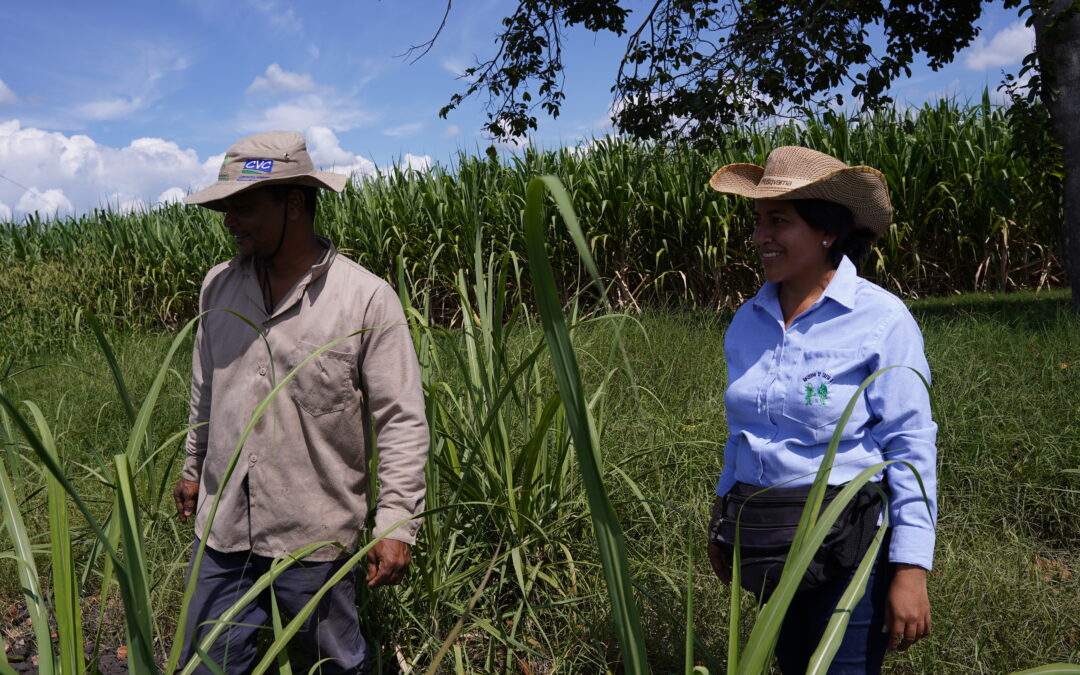 Jurisdicción Agraria y Rural