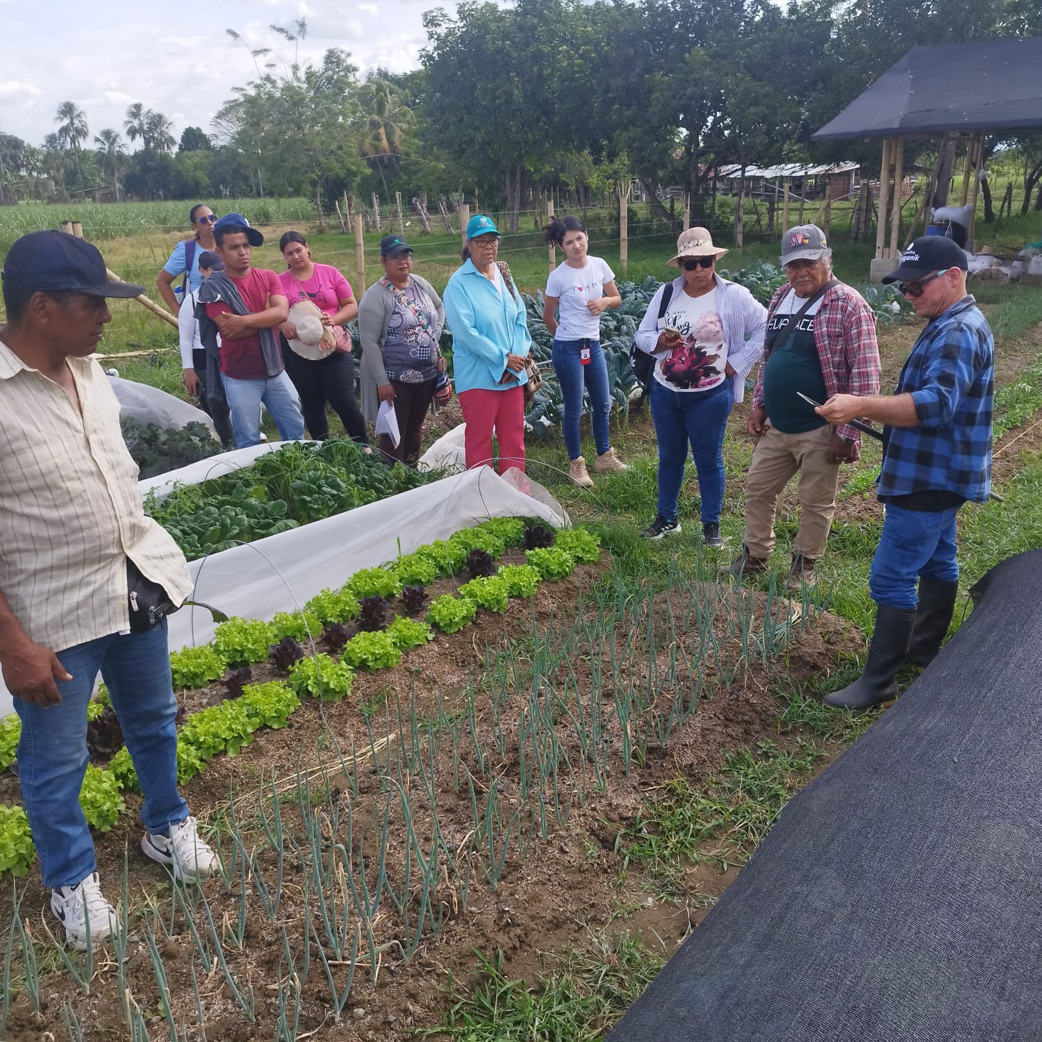 Del Campo a la Esperanza: la agricultura familiar como motor de oportunidades