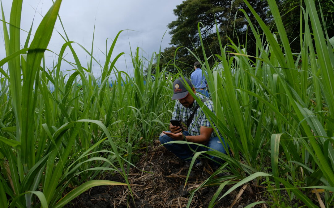 El liderazgo de cultivadores ante el desafío de la sostenibilidad.