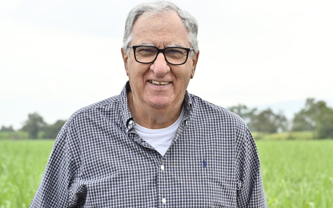 Retos y preparación del cultivo de caña 2026