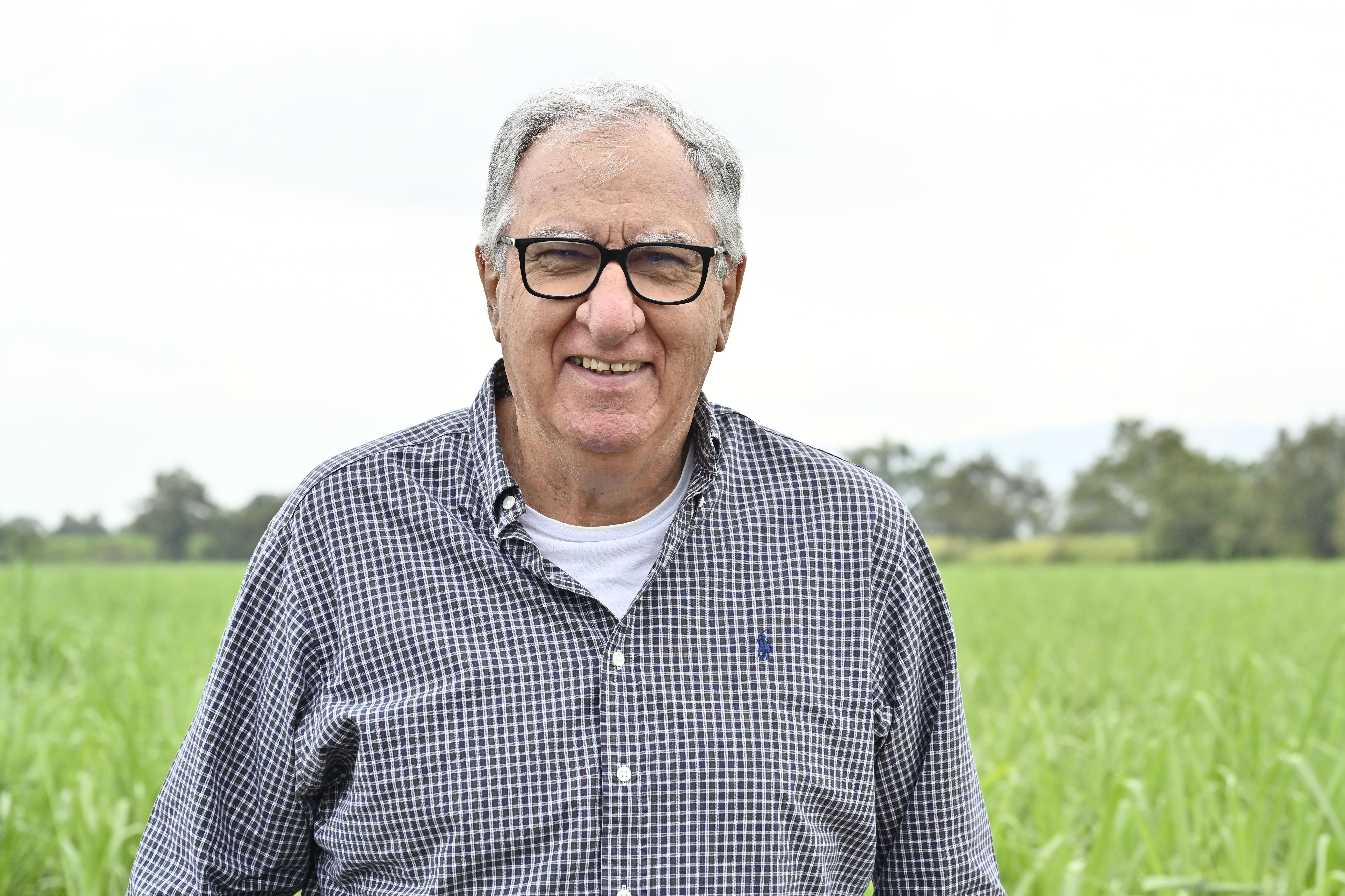 Retos y preparación del cultivo de caña 2026