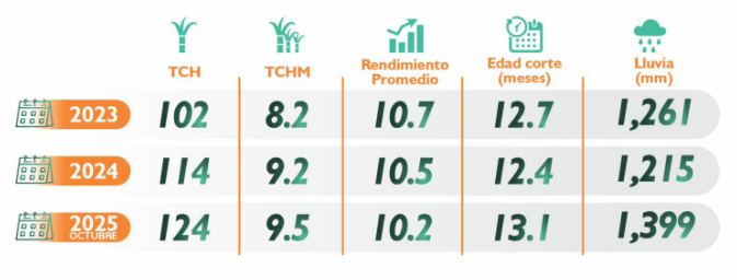 Unidos por la caña: aprendizajes del año y retos 2026