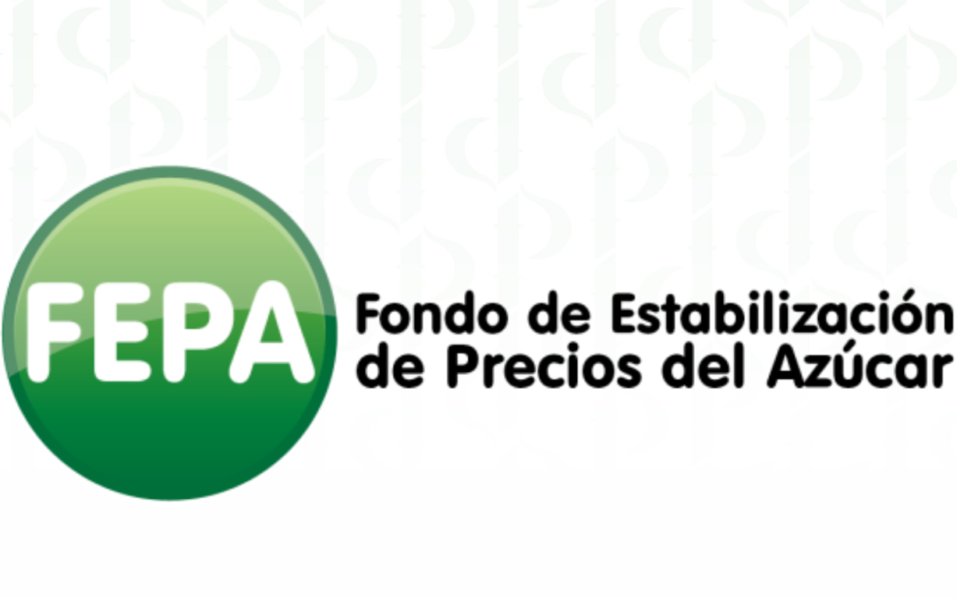 Elecciones Comité Directivo del FEPA 2026